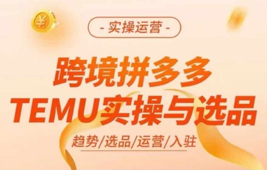 跨境拼多多TEMU实操与选品，多多temu跨境选品运营实操-800资源网