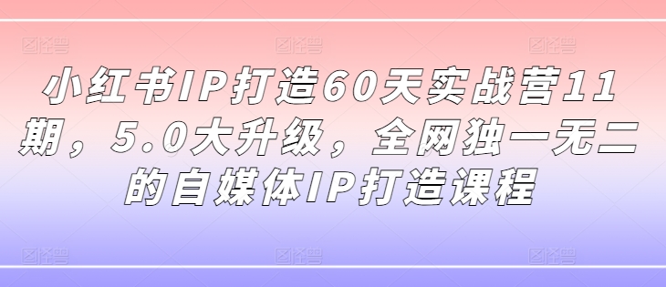 小红书IP打造60天实战营11期，5.0大升级，全网独一无二的自媒体IP打造课程-800资源网