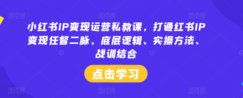 小红书IP变现运营私教课，打通红书IP变现任督二脉，底层逻辑、实操方法、战训结合-800资源网