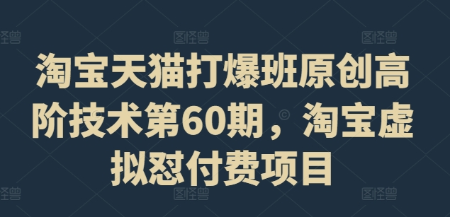 淘宝天猫打爆班原创高阶技术第60期，淘宝虚拟怼付费项目-800资源网