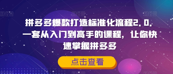 拼多多爆款打造标准化流程2.0，一套从入门到高手的课程，让你快速掌握拼多多-800资源网
