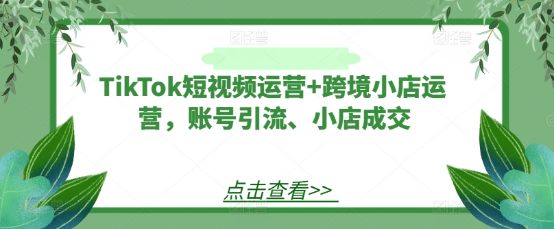 TikTok短视频运营+跨境小店运营，账号引流、小店成交-800资源网