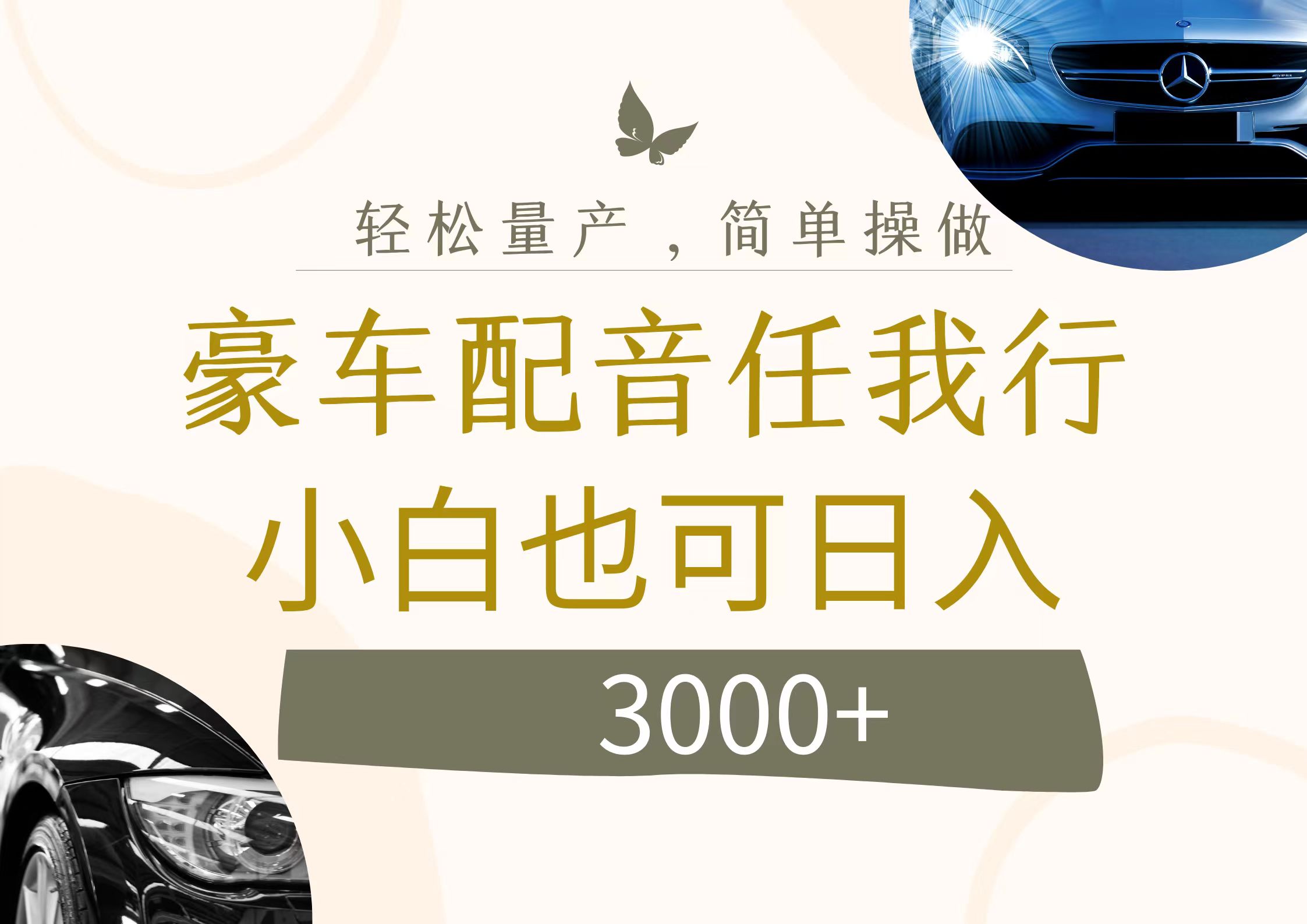 不为人知的暴力小项目，豪车配音，日入3000+-800资源网