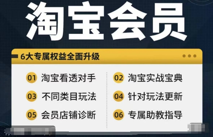 淘宝会员【淘宝所有课程，全面分析对手】，初级到高手全系实战宝典-800资源网