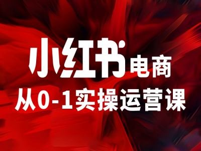 小红书电商从0-1实操运营课，让你从小白到精英-800资源网
