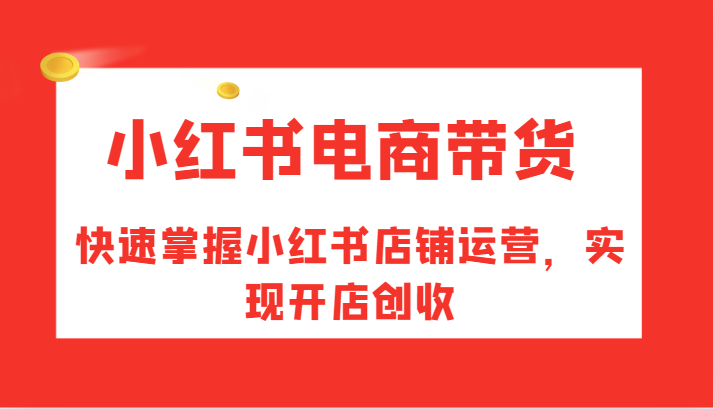 小红书电商带货，快速掌握小红书店铺运营，实现开店创收-800资源网