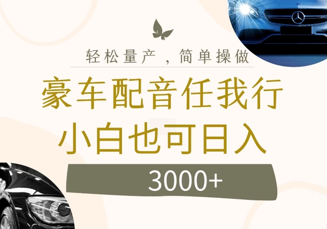 不为人知的暴力小项目，豪车配音，日入几张-800资源网