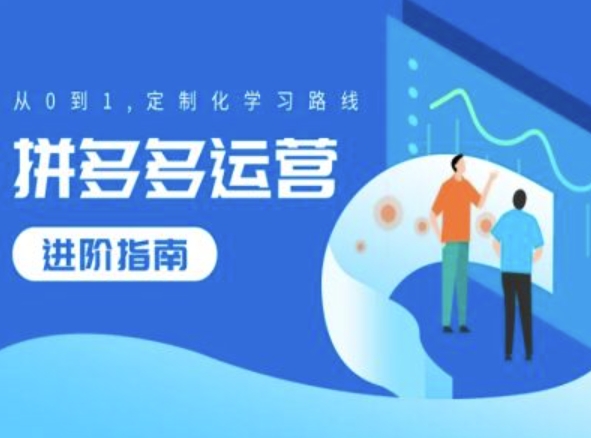 拼多多运营进阶指南，从0到1定制化学习路线-800资源网