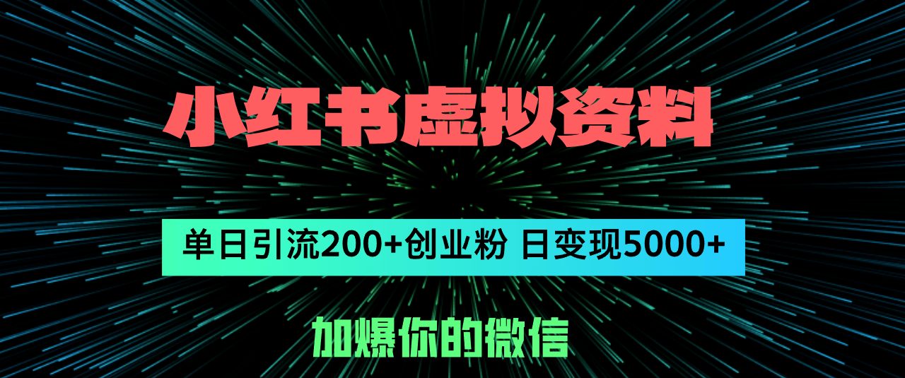 小红书虚拟资料日引流200+创业粉，单日变现5000+-800资源网
