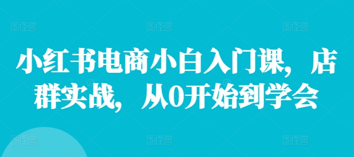 小红书电商小白入门课，店群实战，从0开始到学会-800资源网
