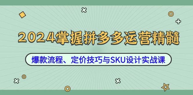 2024掌握拼多多运营精髓：爆款流程、定价技巧与SKU设计实战课-800资源网