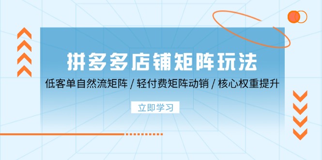 拼多多店铺矩阵玩法：低客单自然流矩阵 / 轻付费矩阵 动销 / 核心权重提升-800资源网