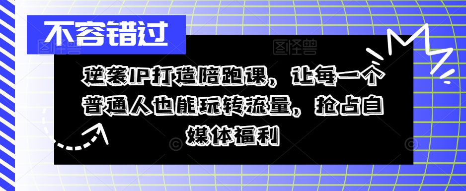 逆袭IP打造陪跑课，让每一个普通人也能玩转流量，抢占自媒体福利-800资源网