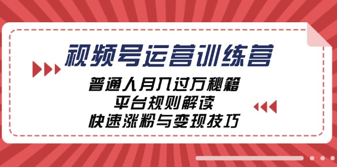 视频号运营训练营：普通人月入过万秘籍，平台规则解读，快速涨粉与变现…-800资源网