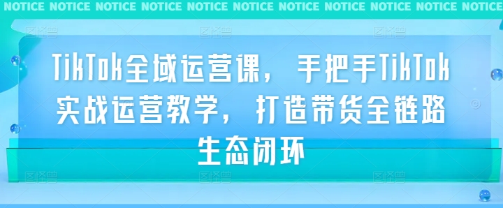 TikTok全域运营课，手把手TikTok实战运营教学，打造带货全链路生态闭环-800资源网