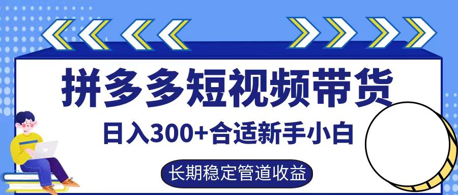 拼多多短视频带货日入300+，实操账户展示看就能学会-800资源网