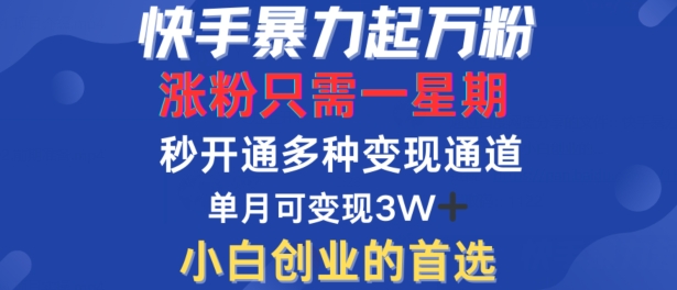 快手暴力起万粉，涨粉只需一星期，多种变现模式，直接秒开万合，单月变现过W-800资源网