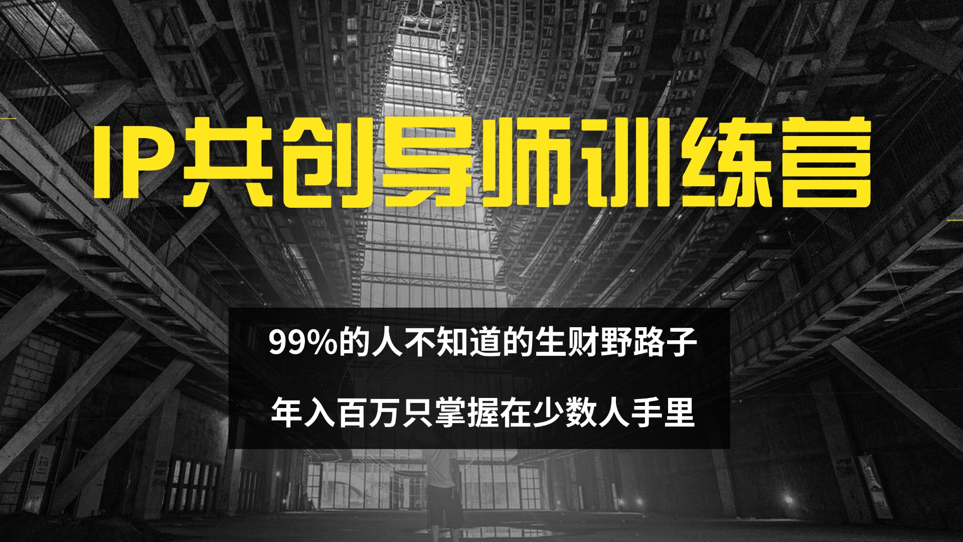 IP共创导师训练营 99%的人不知道的生财野路子 只掌握在少数人手里-800资源网