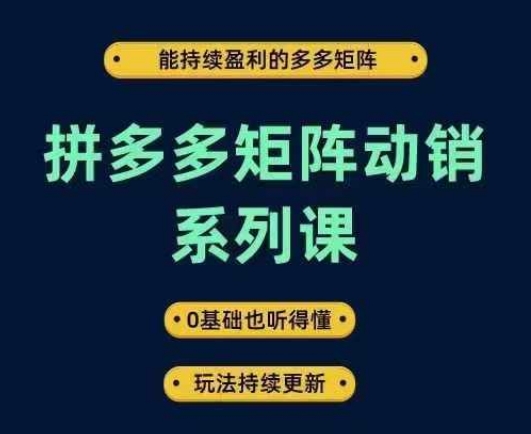拼多多矩阵动销系列课，能持续盈利的多多矩阵，0基础也听得懂，玩法持续更新-800资源网