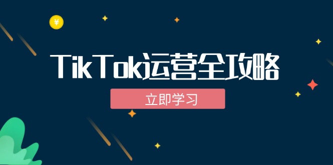 TikTok实战运营全攻略：从下载软件到变现，抖音海外版实操教程-800资源网