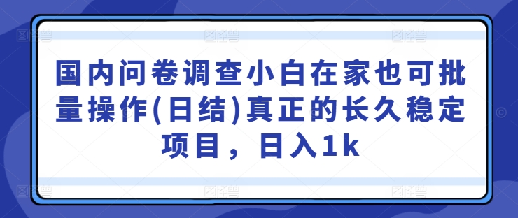 国内问卷调查小白在家也可批量操作(日结)真正的长久稳定项目，日入1k-800资源网