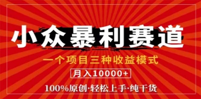 视频号最新爆火赛道，三种可收益模式，0粉新号条条原创条条热门 日入1000+-800资源网