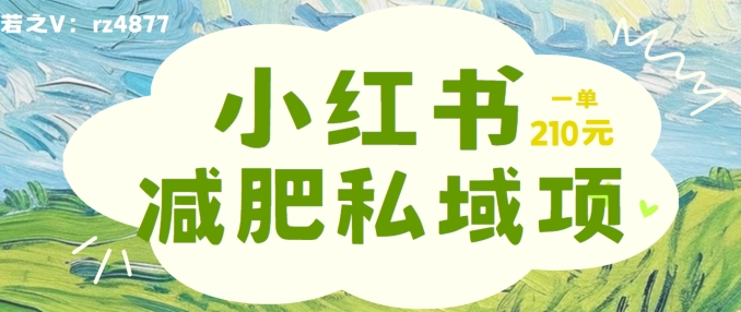 小红书减肥粉，私域变现项目，一单就达210元，小白也能轻松上手-800资源网