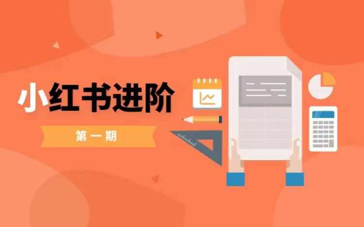 小红书进阶篇，零基础小白实战课，普通人变现的课程-800资源网