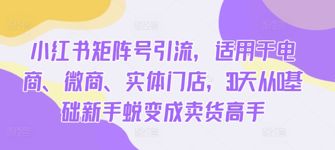 小红书矩阵号引流，适用于电商、微商、实体门店，30天从0基础新手蜕变成卖货高手-800资源网