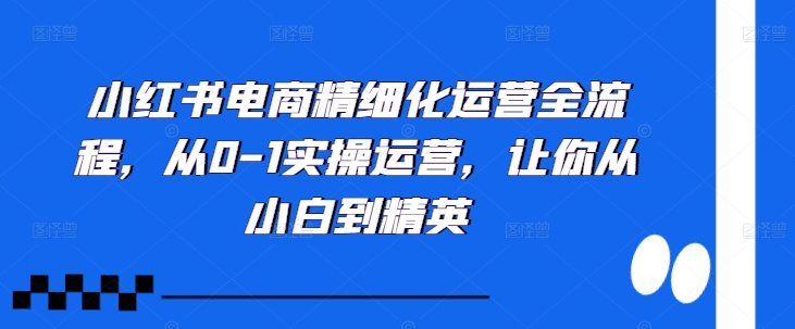 小红书电商精细化运营全流程，从0-1实操运营，让你从小白到精英-800资源网