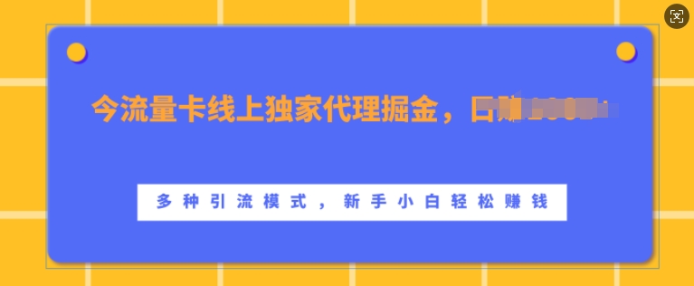 流量卡线上独家代理掘金，日入1k+ ，多种引流模式，新手小白轻松上手-800资源网