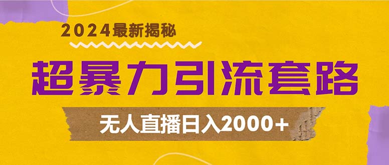 超暴力引流套路，无人直播日入2000+-800资源网