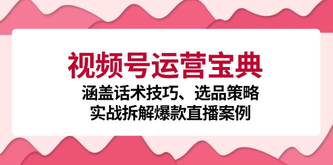 视频号运营宝典：涵盖话术技巧、选品策略、实战拆解爆款直播案例-800资源网