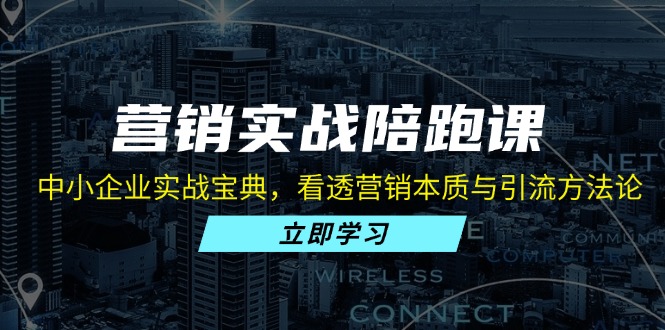 营销实战陪跑课：中小企业实战宝典，看透营销本质与引流方法论-800资源网