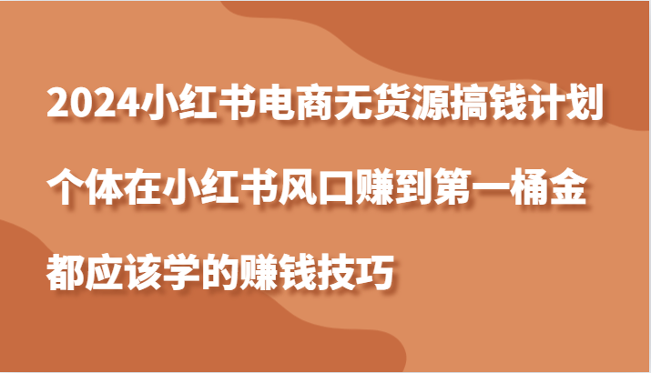 2024小红书电商无货源搞钱计划，个体在小红书风口赚到第一桶金应该学的赚钱技巧-800资源网