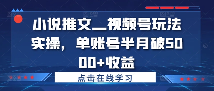 小说推文—视频号玩法实操，单账号半月破5000+收益-800资源网
