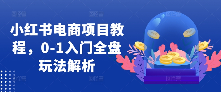 小红书电商项目教程，0-1入门全盘玩法解析-800资源网