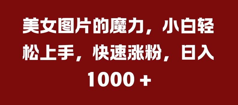 美女图片的魔力，小白轻松上手，快速涨粉，日入几张-800资源网