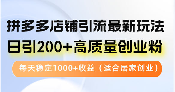 拼多多店铺引流最新玩法，日引200+高质量创业粉，每天稳定1000+收益（…-800资源网