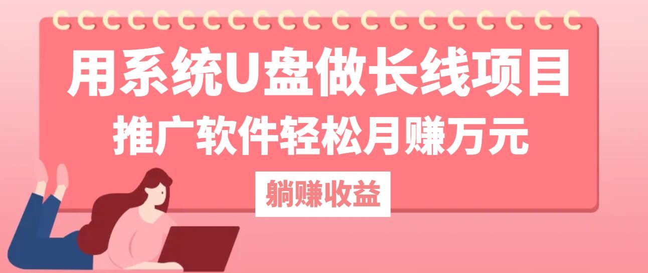 用系统U盘做长线项目，推广软件轻松月赚万元-800资源网