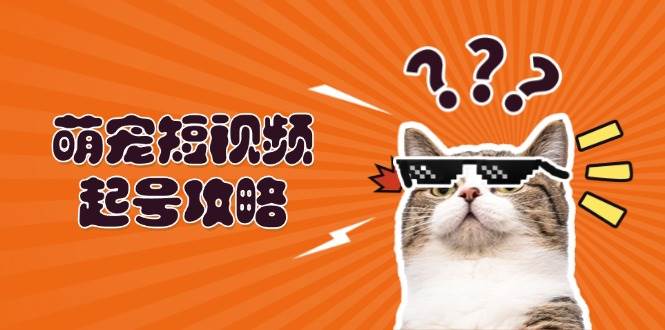萌宠短视频起号攻略：定位搭建推流全解析，助力新手轻松打造爆款-800资源网