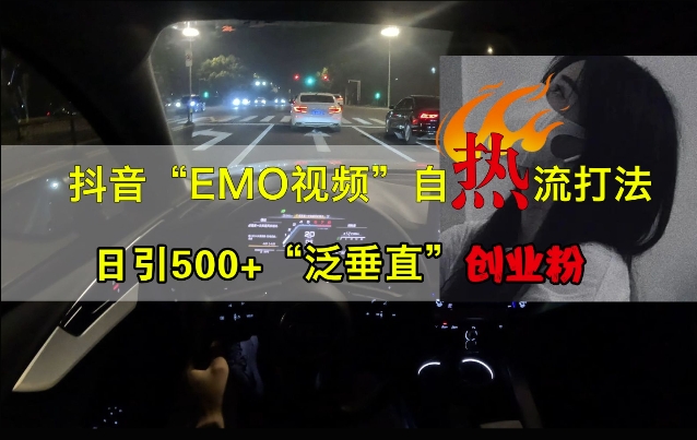 抖音EMO视频自热打法，日引500+“泛垂直”创业粉-800资源网