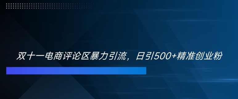 双十一电商评论区暴力引流，日引500+精准创业粉-800资源网