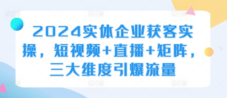 2024实体企业获客实操，短视频+直播+矩阵，三大维度引爆流量-800资源网