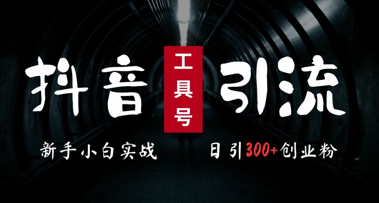 2024最新抖音工具号引流玩法，高效日引300+创业粉，当天变现5k，小白也可成为实战高手-800资源网