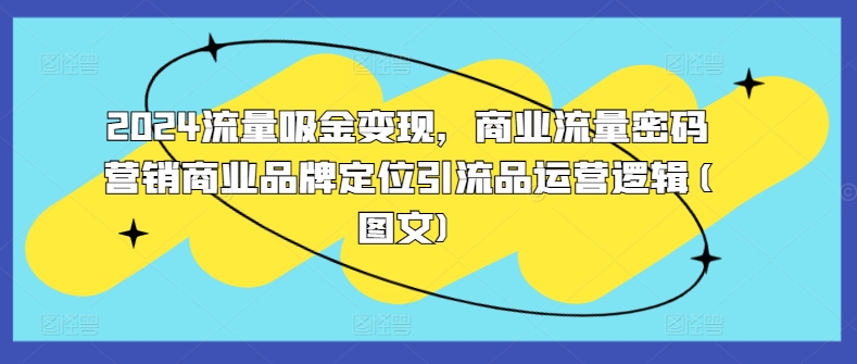 2024流量吸金变现，商业流量密码营销商业品牌定位引流品运营逻辑(图文)-800资源网