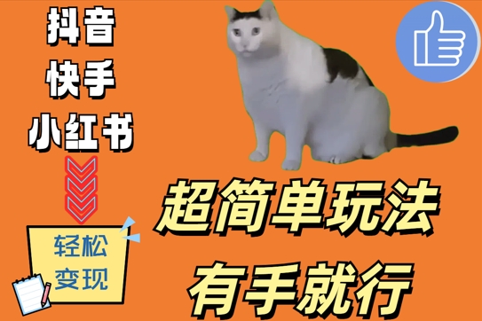 超简单玩法，有手就行，靠猫咪视频日入500+-800资源网