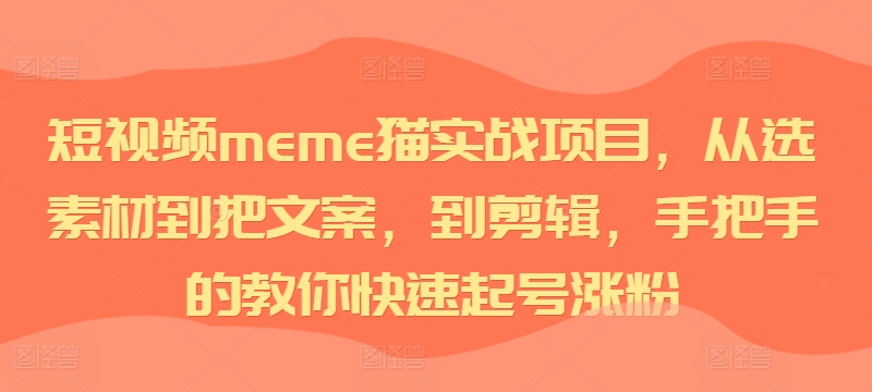 短视频meme猫实战项目，从选素材到把文案，到剪辑，手把手的教你快速起号涨粉-800资源网