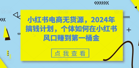 小红书电商无货源，2024年搞钱计划，个体如何在小红书风口赚到第一桶金-800资源网