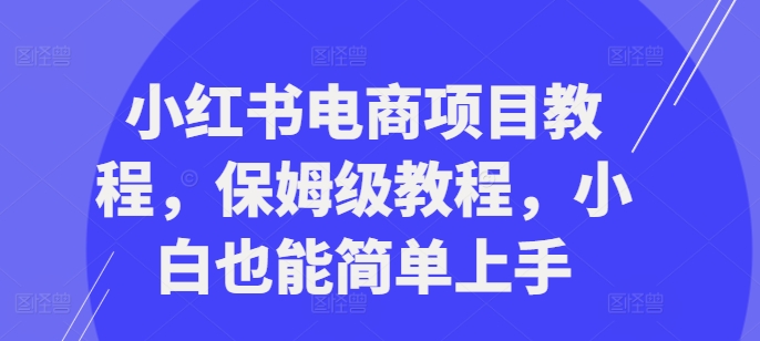 小红书电商项目教程，保姆级教程，小白也能简单上手-800资源网